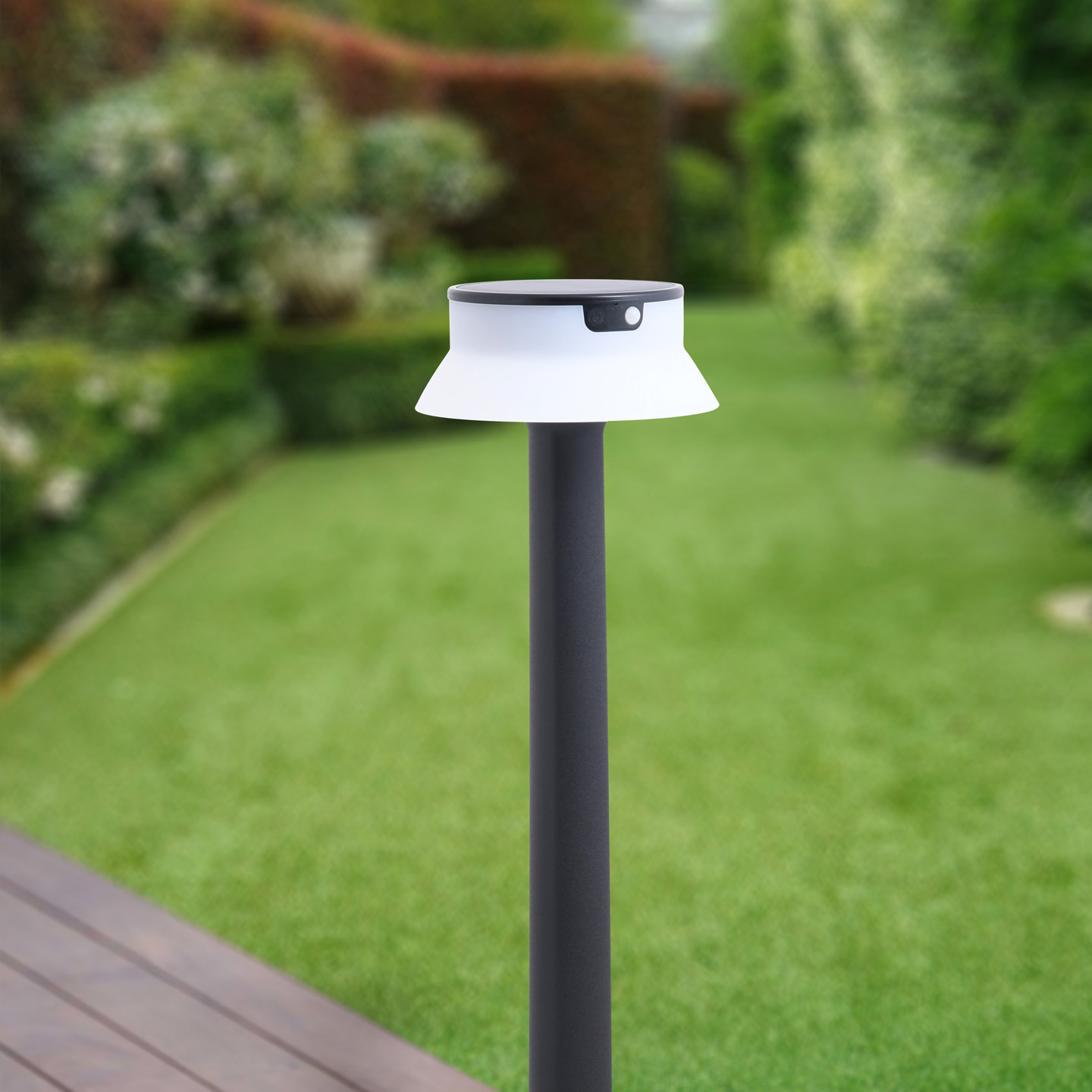 Josepha 800 Black Opal PR